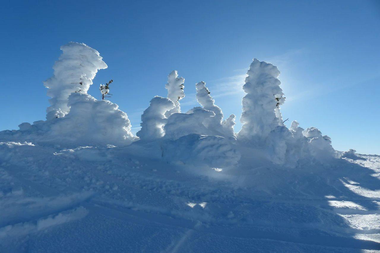 Sundance Resort Big White Eksteriør billede